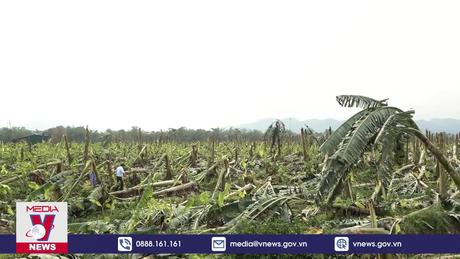 Mưa lớn bất thường gây thiệt hại tại Phú Thọ