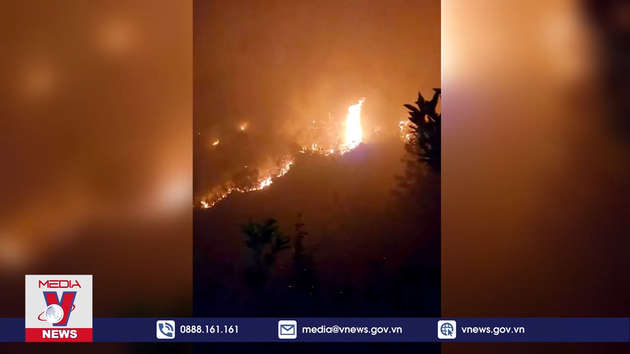 Hai cán bộ kiểm lâm tử nạn trong vụ cháy rừng ở Hà Giang