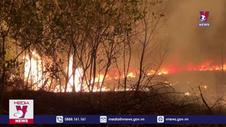 Cháy rừng ven biển tại tỉnh Quảng Bình