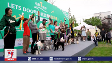 Bùng nổ trào lưu nuôi thú cưng ở Trung Quốc
