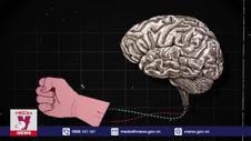 Neuralink khắc phục sự cố của chip đầu tiên cấy vào não người
