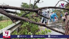 Lốc xoáy tại Bình Phước khiến một người bị thương