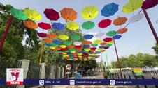 Những chiếc ô đầy màu sắc tạo bóng mát ở Ấn Độ