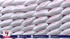 Xuất cấp hơn 1.000 tấn gạo hỗ trợ nhân dân