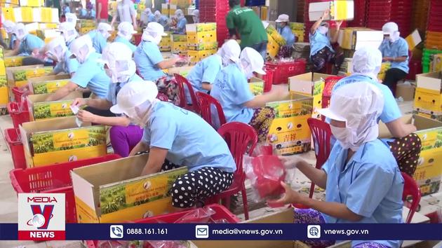 Loạt quy định 'mở rào' xúc tiến xuất khẩu nông sản Việt