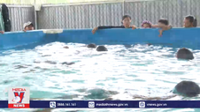 Lan tỏa mạnh mẽ việc dạy bơi an toàn cho học sinh
