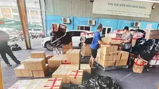 Phá vụ vận chuyển 179 kg ma túy qua đường hàng không từ Đức về Việt Nam